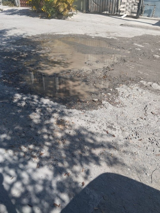 Imagen de la obra